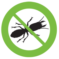 termite inspections northern beaches