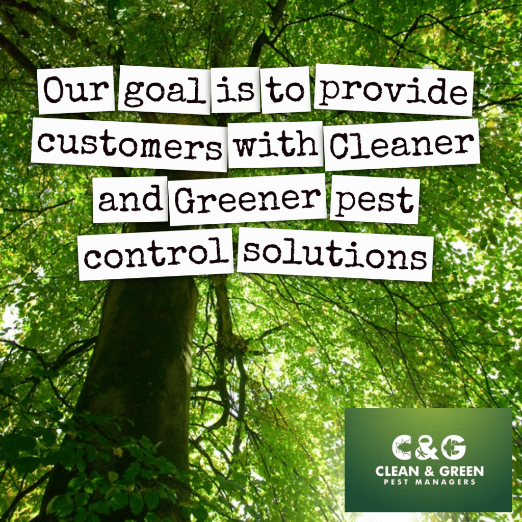 Green Pest Control. Environmentally friendly, natural pest control.