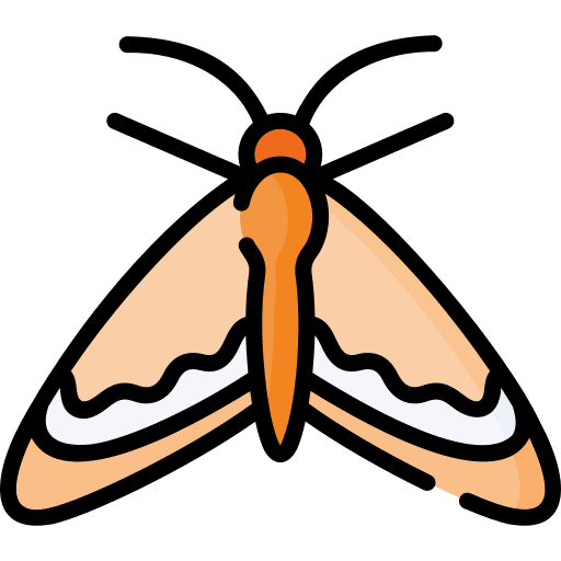 4 Ways to Get Rid of Moths